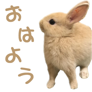 うさぎのlineスタンプをお探しなら きなたん スタンプがおすすめ うさ日記