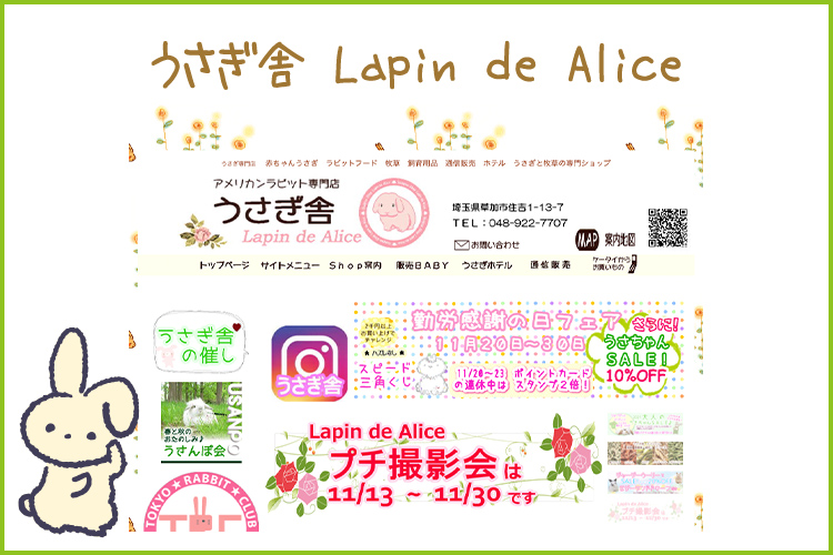 うさぎ舎 Lapin de Alice