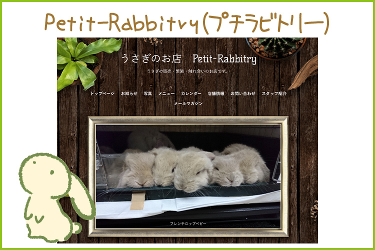 Petit-Rabbitry(プチラビトリー)